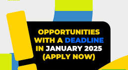 JANUARY 2025 Deadline Opportunities (APPLY NOW)